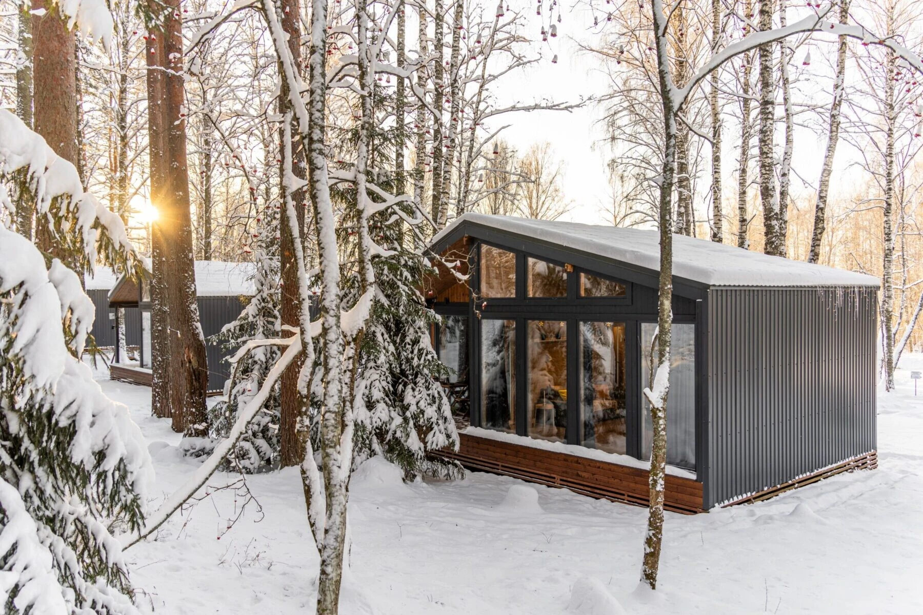 Дом 50 м² с видом на лес — Ромашка, Карелия