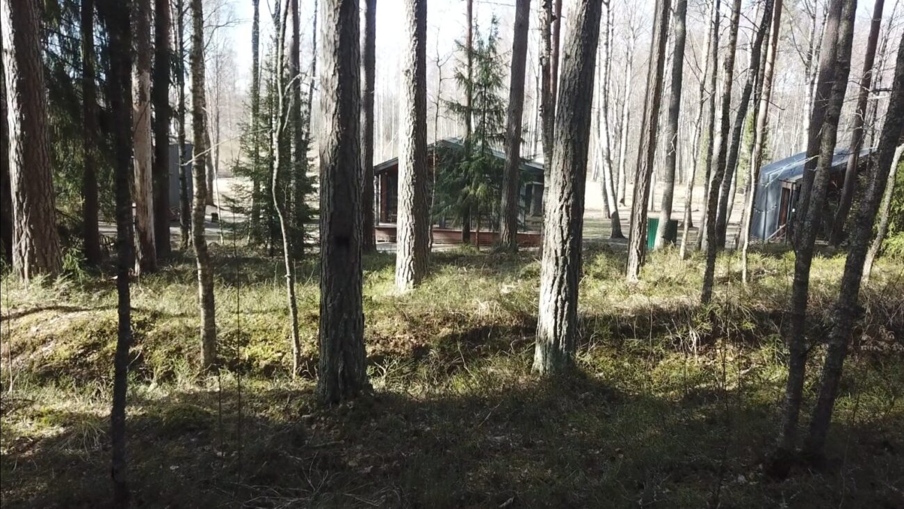 Дом 50 м² с видом на лес — Ромашка, Карелия