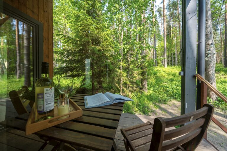 Дом 50 м² с видом на лес — Ромашка, Карелия