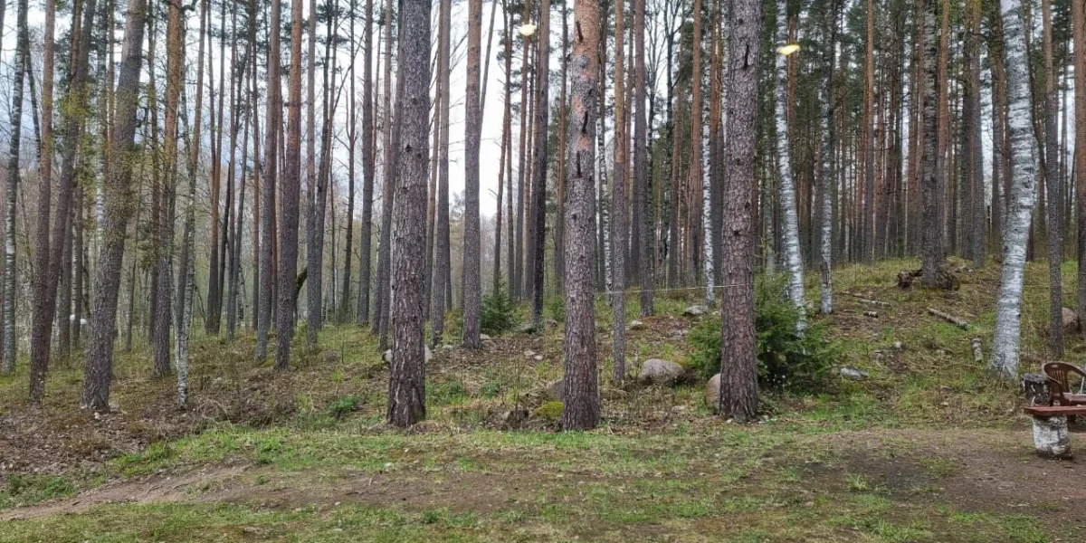 Img 20250511 Wa0016