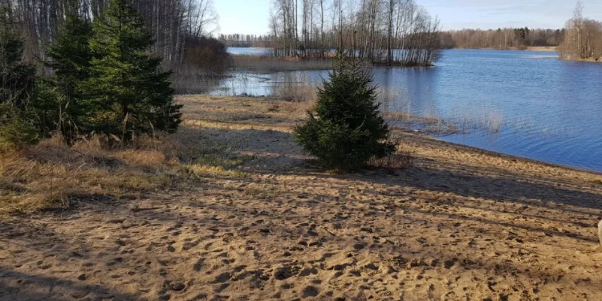 Без Названия (2)